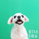 뭉치네 미용실 이미지