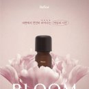 르블룸