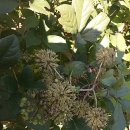 외암초등학교 이미지