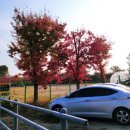 금강로746번길 이미지