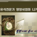배리만물상