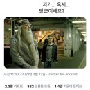 아!미덕감반려가족호텔링 | 데굴데굴 6월