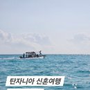 couple stay | [아프리카 탄자니아 신혼여행]#1. 탄자니아 입국 준비 리스트_보험, 비자, 황열병 등