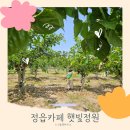 햇빛농장 | 전주 근교 아이와 가볼만한 곳, 농장체험과 모래놀이가 가능한 정읍카페 햇빛정원