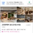 고정현헤어송도오네스타 | 고정현헤어 송도오네스타점 부원장님 커트 후기
