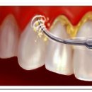 테라치과의원 이미지