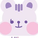 하이뽀영
