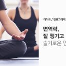 더블에잇 휘트니스 덕이점 네이버블로그