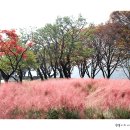 풍경이 머무는 곳 이미지