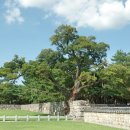 수로왕릉 이미지