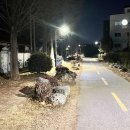 철길숲(학산동) 이미지