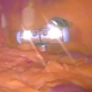 케리어스 이미지