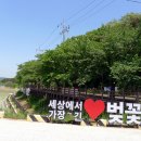 오동세천 Daum카페