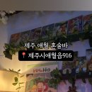 제주시애월읍916