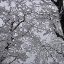 두타산성 Daum카페