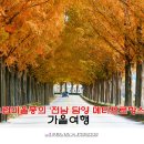 제이캠프 테마여행사 이미지