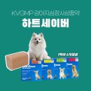 속편한온누리약국 이미지