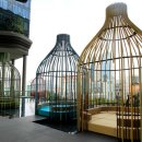 로얄카바나 이미지