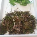 장수건강원 이미지