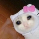 묭