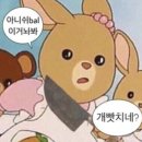 신나라레코드 이미지