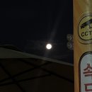 대어낚시타운 | 인천 연안부두 : 첫 쭈꾸미 배낚시, 차이나타운에서 점심까지 🐙