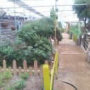 원평목장 이미지