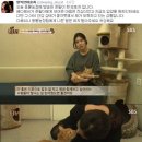 현씨농장 일간스포츠