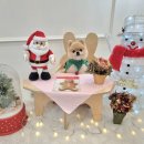 츄츄애견 이미지