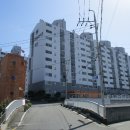 비석1길49 이미지