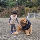 별빛든쉼 이미지