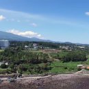 오렌지빌 이미지