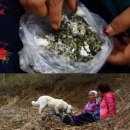 자연식당 이미지