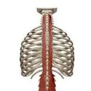 코어짐 피트니스 이미지