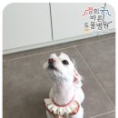 경희궁바른동물병원 이미지