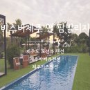 팜오션 | 제주도 오션뷰 펜션 비스비제주 앤 팜빌리지 파노라마 오션뷰 후기