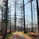 동화3길-3 이미지