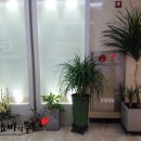 추소아청소년과의원 이미지