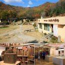 용소막농장 이미지