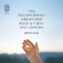 열왕기하 19:14 – 19:28 오만한 자에게 임하는 전능자의 심판 이미지