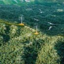 비디아이 이미지