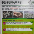예인광고기획 - 고창군 | 예인광고기획