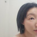 오투헬스케어 | 올리브영 지성샴푸 추천｜예민두피 PICK! 얼라이브랩 워터 타입 지성샴푸 /서이추