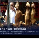 독일언론사 한국 개고기 거래 금지 법안이 국회를 통과했다. 보도 이미지