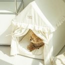 펫하우스 이미지