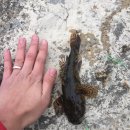 산정소류지 이미지