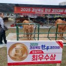 예천한우 헤럴드경제