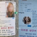 둥근전단