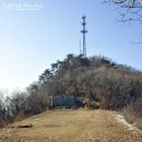 [비박산행] 진달래가 아름답기로 이름난 태화산 비박산행 이미지