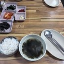 금갈치은고등어 | (제주 성산 맛집) 갈치조림 고등어 조림이 기가 막히는 가성비 <맛나식당> 솔직후기